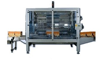 Automatic Case Packer(Vertical Type)
