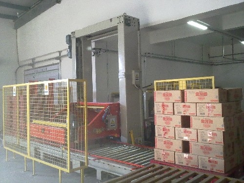 Low Level Case Palletizer Model No MP-HL-10A